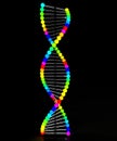 DNA is made of multicolored beads Ã¢ââ2